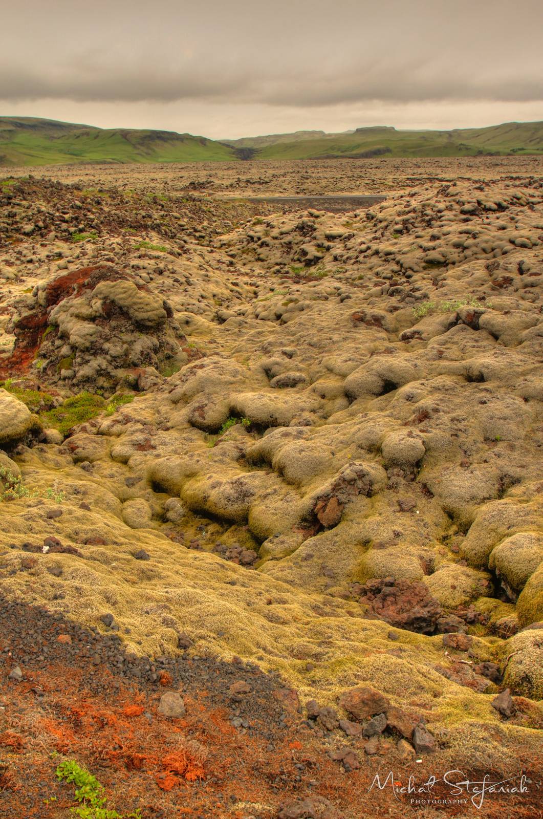 491 IMG 4277 8 9Enhancer